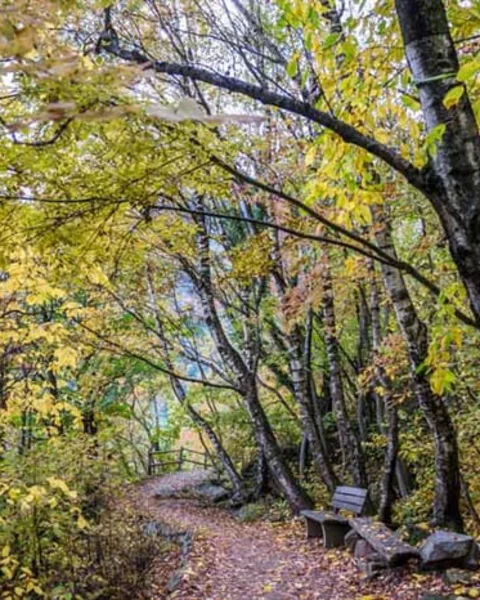 Parcines Waal Path