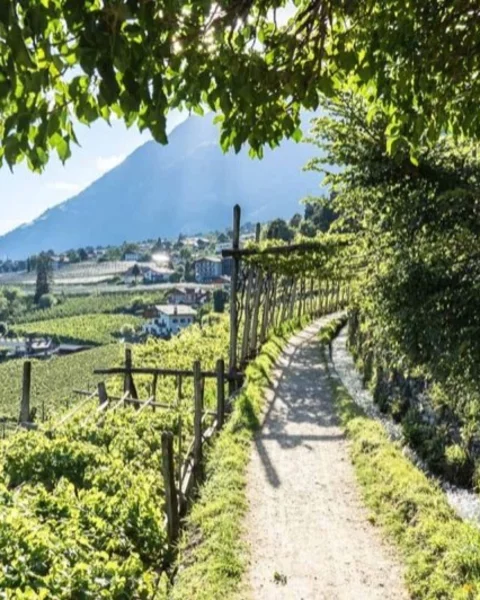 Waal Paths in Merano