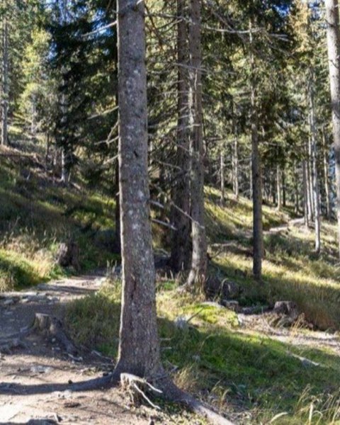 Malga Naturno Hut