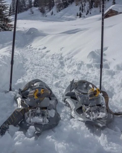 Snowshoeing in Val d'Ultimo