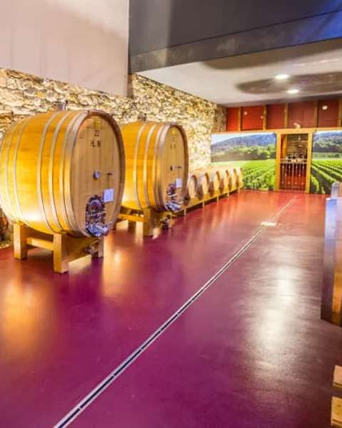 Wineries in Merano