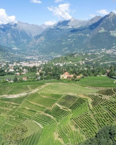 7 tips for August in Merano