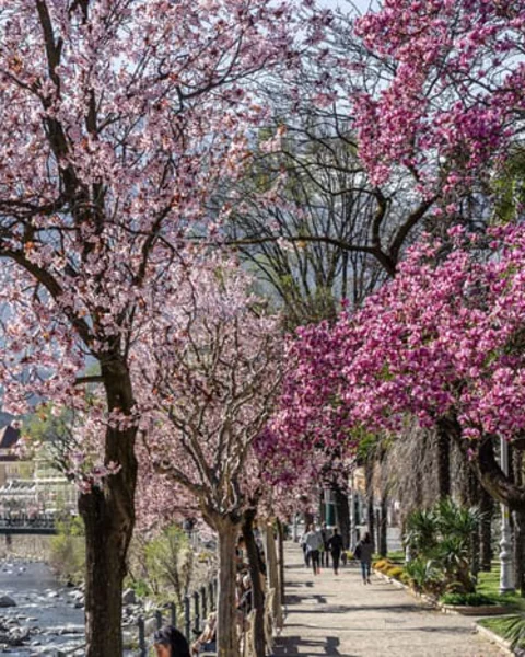 10 things not to miss in Merano in April