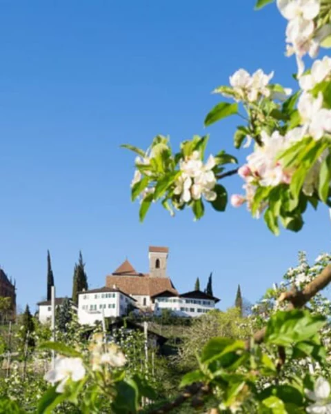 10 things to do in Merano in March