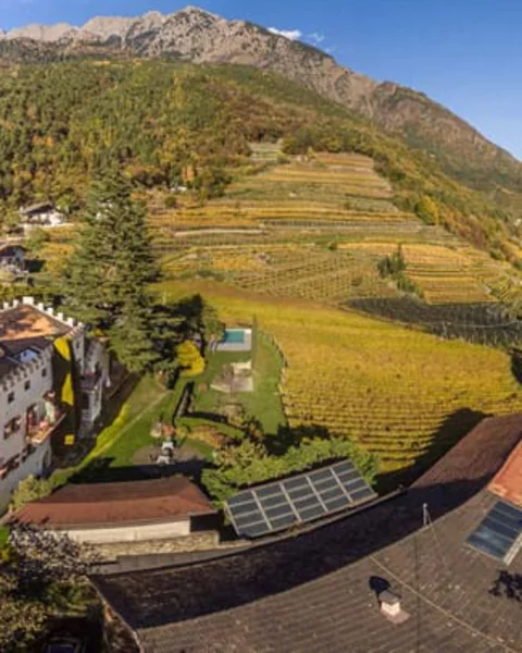 Schloss Plars Winery