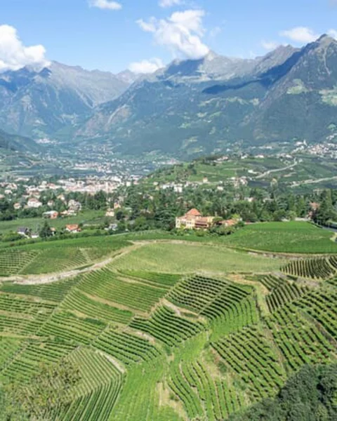 7 tips for August in Merano