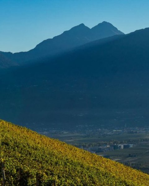 Labers above Merano