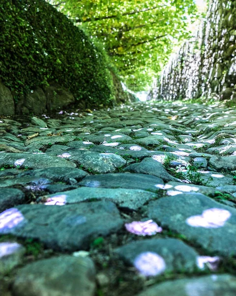 Path near Lagundo