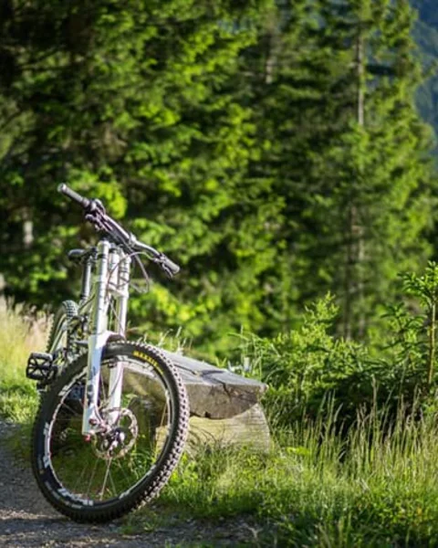 Mountain biking in Merano