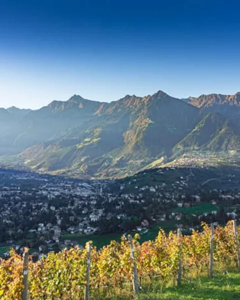 8 things to experience in Merano in October!