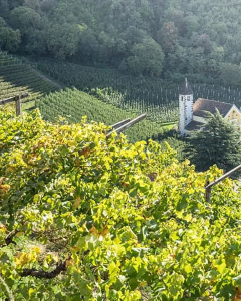 10 things to do in Merano in September