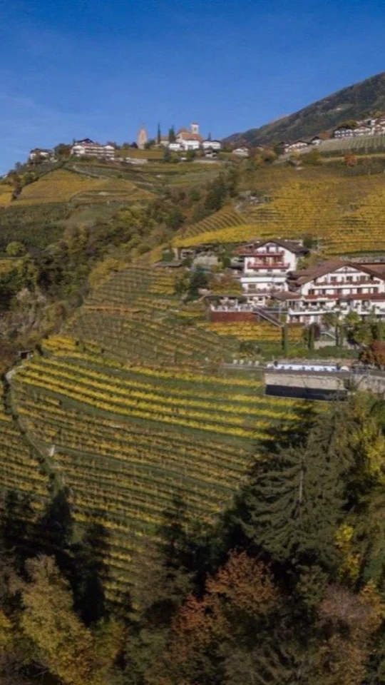 Autumn in the vineyards above Merano
