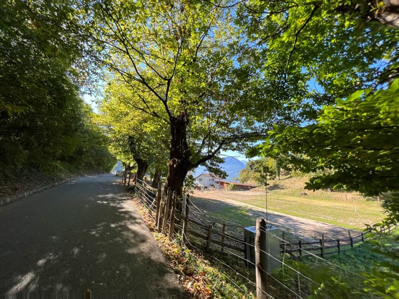 E-bike tour to the Greiter farm above Merano