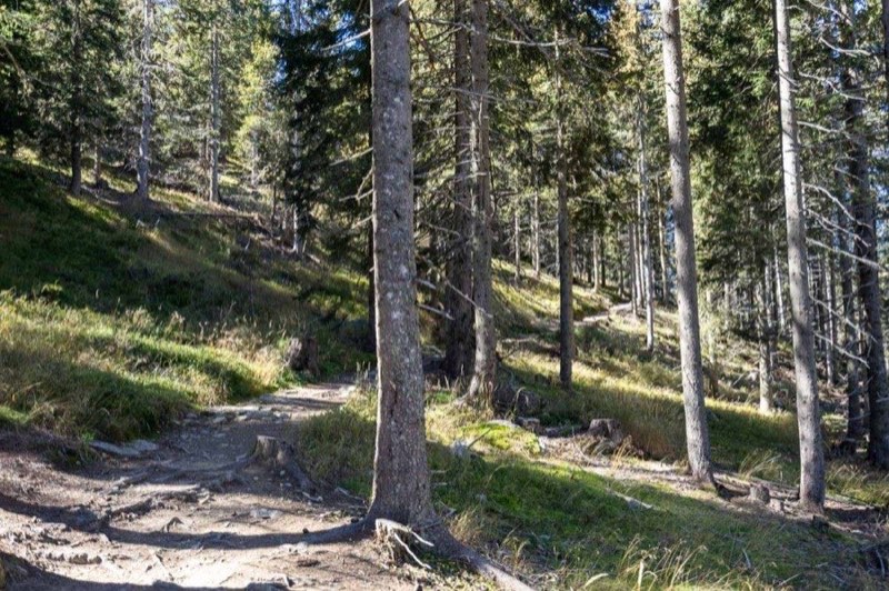 Malga Naturno Hut