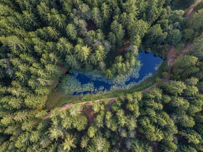 sulfner pond