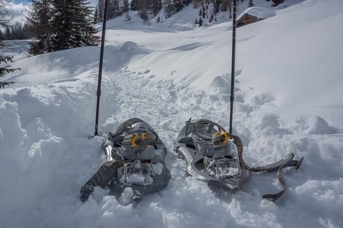 Snowshoeing in Val d'Ultimo