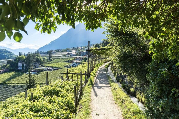 Waal Paths in Merano